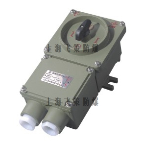 BHZ51防爆轉(zhuǎn)換開(kāi)關(guān)